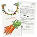 Photo Graines de carotte (Daucus carota), graines de carotte à cultiver OwnGrown, graines pour environ 800 plants de la variété Nantaise 2 examen