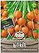 Foto Sperli Premium Möhren Samen Pariser Markt 5 ; kugelförmige Karotte ; runde Karotten Samen Rezension