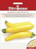 Dürr Samen Zucchini Gold Rush F1, gelbe Früchte Foto, neu 2024, bester Preis 3,67 € Rezension