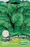 Germisem For All Seasons Acadia F1 Semillas de Espinacas 8 g, EC7022 Foto, nuevo 2024, mejor precio 3,68 € revisión