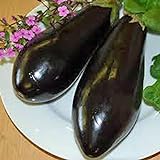 Eggplant,Black Beauty Eggplant Seed, Heirloom, , Non GMO, 25 Seeds, Vegetable Photo, new 2024, best price $1.99 ($0.08 / Count) review