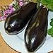 Photo Eggplant,Black Beauty Eggplant Seed, Heirloom, , Non GMO, 25 Seeds, Vegetable review