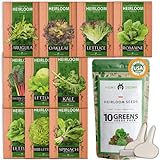 10 Heirloom Lettuce and Leafy Greens Seeds - 1500 Seeds - Non GMO Seeds for Planting - Kale, Spinach, Butter, Oak, Romaine, Iceberg, Bibb, Arugula | Hydroponic Home Vegetable Photo, new 2024, best price $15.98 ($0.01 / Count) review