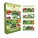 Foto Gemüsesamen Set - 12 Sorten Samen - Saatgut Sortiment - Anzuchtset für Gemüsepflanzen - Geschenkset - Tomaten, Gurken, Radieschen, Zucchini, Paprika und mehr Rezension