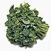Photo Broccoli Raab Seeds, Rapini, Heirloom, Non GMO, 100 Seeds, Delicious a Culinary Delight review
