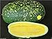 Photo Watermelon seeds - Moon & Stars-Yellow (Citrullus lanatus) Non-GMO Heirloom ! (50 Seeds) review