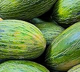 50 Valencia Late Melon Seeds | Non-GMO | Heirloom | Fresh Garden Seeds Photo, new 2024, best price $6.95 review