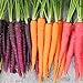 Foto Frisches Obstsamen mit 500Pcs Gemischte Farbe Karottensamen Leckeres Gemüse Obst Garten Farm Pflanze zum Pflanzen Garten Yard Home Landschaftsbau Rezension