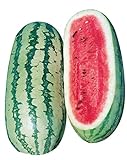 Burpee Georgia Rattlesnake Watermelon Seeds 100 seeds Photo, new 2024, best price $7.68 ($0.08 / Count) review