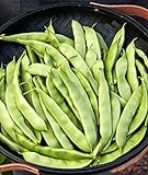 Burpee Early Italian Bush Bean Seeds 2 ounces of seed Photo, new 2024, best price $7.21 ($3.60 / Ounce) review