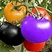 Foto Arcoíris Semillas de Tomate Jardín Orgánico Frutas Semillas de Vegetales Planta Hogar Patio Decoración (100 Piezas) revisión