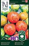 Tomatensamen Tigerella - Nelson Garden Samen für Gemüsegarten - Tomaten Saatgut (36 Stück) (Einzelpackung) Foto, neu 2024, bester Preis 3,45 € Rezension