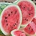 Photo RattleFree Watermelon Seeds for Planting Heirloom and NonGMO Jubilee Watermelon Seeds to Plant in Home Gardens Full Planting Instructions on Each Planting Packet review