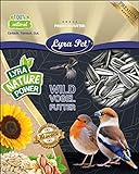 Lyra Pet® 20 kg Sonnenblumenkerne 20000 g gestreift Vogelfutter Wildvogel HK 1 Deutschland Foto, neu 2024, bester Preis 33,99 € (1,70 € / kg) Rezension