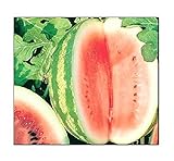 25 Crimson Sweet Watermelon Seeds | Non-GMO | Fresh Garden Seeds Photo, new 2024, best price $6.95 review