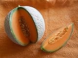 Melone Charentais 5 Samen -Neue Züchtung aus Cantaloupe/Zuckermelone Sehr sehr Süß Foto, neu 2024, bester Preis 1,98 € Rezension
