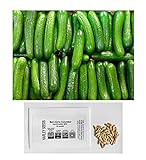 US Grown! 30+ Persian Beit Alpha (a.k.a. Lebanese) Cucumber Seeds Heirloom Non-GMO Burpless Sweet Non-Bitter and Acid Free, Crispy and Sweet, Fragrant and Delicious, Cucumis sativus, Grown in USA! Photo, new 2024, best price $2.69 review