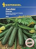 Zucchini Defender F1 Foto, neu 2024, bester Preis 3,96 € Rezension