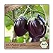 Foto BIO Aubergine Samen Sorte Black Beauty (Solanum melongena) Gemüsesamen Eierfrucht Saatgut Rezension
