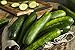 Photo Sweeter Yet Hybrid Cucumber Seeds - Non-GMO - 10 Seeds review