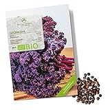 BIO Grünkohl Samen (Redbor) - Grünkohl Saatgut aus biologischem Anbau ideal für die Anzucht im Garten, Balkon oder Terrasse Foto, neu 2024, bester Preis 4,90 € Rezension