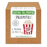 Garden Pocket - Kit Cultivo Palomitas de Maíz Foto, nuevo 2024, mejor precio 13,93 € revisión