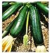 Foto Semillas de calabacín negro de Milán - verduras - cucurbita pepo - aproximadamente 36 semillas - las mejores semillas de plantas - flores - frutas raras - calabacín negro - idea de regalo original revisión