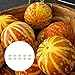 Foto Steelwingsf Gartenblumenkerne Zum Pflanzen Im Freien, 10 Stück/Beutel Tigger Melonensamen Geschmackvolle, Nahrhafte, Jährliche Cucurbita-Gemüsesamen Für Den Bauernhof Kürbiskerne Rezension