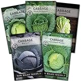 Sow Right Seeds - Cabbage Seed Collection for Planting - Savoy, Red Acre, Golden Acre, Copenhagen Market, and Michihili (Napa) Cabbages, Instructions to Plant and Grow a Non-GMO Heirloom Home Garden Photo, new 2024, best price $10.99 review