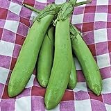 Thai Long Green Eggplant Seeds (25+ Seeds) Photo, new 2024, best price $4.69 review