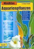 Aquarienpflanzen, MiniAtlas Foto, neu 2024, bester Preis 24,99 € Rezension