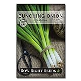 Sow Right Seeds - Heshiko Bunching Japanese Green Onion Seeds for Planting - Non-GMO Heirloom Seeds with Instructions to Plant and Grow a Kitchen Garden, Indoor or Outdoor; Great Gardening Gift Photo, new 2024, best price $5.99 review