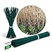 Foto Novatool 100 varillas de madera de bambú, 70 cm x 6 mm, color verde, para plantas revisión