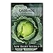 Photo Sow Right Seeds - Golden Acre Cabbage Seed for Planting - Non-GMO Heirloom Packet with Instructions to Plant an Outdoor Home Vegetable Garden - Great Gardening Gift (1) review