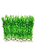 BEGONDIS 14 Pcs Artificial Green Seaweed Water Plants, Fish Tank Aquarium Decorations, Made of Soft Plastic Photo, new 2024, best price $13.99 review