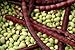 Photo Purple Hull Pea Seeds for Planting - 250 Seeds review