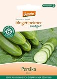 Bingenheimer Saatgut - Freilandgurke Persika - Gemüse Saatgut / Samen Foto, neu 2024, bester Preis 4,66 € Rezension