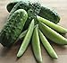 Photo National Pickling Cucumber, 75 Heirloom Seeds Per Packet, Non GMO Seeds, Botanical Name: Cucumis sativus, Isla's Garden Seeds review