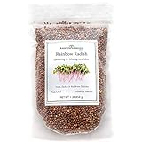 Rainbow Radish Sprouting Seeds Mix | Heirloom Non-GMO Seeds for Sprouting & Microgreens | Contains Red Arrow, Purple Triton & White Daikon Radish Seeds 1 lb Resealable Bag | Rainbow Heirloom Seed Co. Photo, new 2024, best price $17.99 review