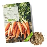 BIO Karotten Samen (Early Nantes) - Möhren Saatgut aus biologischem Anbau ideal für die Anzucht im Garten, Balkon oder Terrasse Foto, neu 2024, bester Preis 4,90 € Rezension