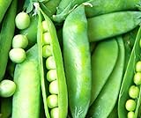 50 Lincoln Pea Seeds | Non-GMO | Fresh Garden Seeds Photo, new 2024, best price $6.95 review