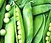 Photo 50 Lincoln Pea Seeds | Non-GMO | Fresh Garden Seeds review