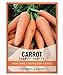 Photo Carrot Seeds for Planting - Scarlet Nantes - Daucus Carota - is A Great Heirloom, Non-GMO Vegetable Variety- 2 Grams Seeds Great for Outdoor Spring, Winter and Fall Gardening by Gardeners Basics review