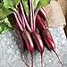 Photo David's Garden Seeds Beet Cylindra 4343 (Red) 200 Non-GMO, Hybrid Seeds review