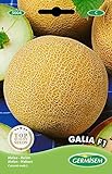 Germisem Melone GALIA F1, mehrfarbig, EC5004 Foto, neu 2024, bester Preis 3,68 € Rezension