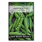Sow Right Seeds - Sugar Snap Pea Seed for Planting - Non-GMO Heirloom Packet with Instructions to Plant a Home Vegetable Garden Photo, new 2024, best price $5.49 review