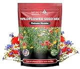 170,000 Wildflower Seeds, 1/4 lb, 35 Varieties of Flower Seeds, Mix of Annual and Perennial Seeds for Planting, Attract Butterflies and Hummingbirds, Non-GMO… Photo, new 2024, best price $19.99 ($5.00 / Ounce) review