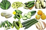 100+ Cucumber Mix Seeds 12 Varieties Non-GMO Delicious and Crispy, Grown in USA. Rare and Super Prolific Photo, new 2024, best price $6.25 ($35.43 / Ounce) review