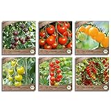 Samenliebe BIO Cherrytomaten Samen Set mit 6 samenfesten Gemüsesamen Sorten für Gewächshaus Freiland und Balkon Tomaten BIO Gemüse Saatgut Foto, neu 2024, bester Preis 15,99 € (2,66 € / stück) Rezension