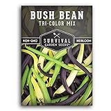 Survival Garden Seeds - Tri-Color Bean Seed for Planting - Packet with Instructions to Plant and Grow Yellow, Purple, and Green Bush Beans in Your Home Vegetable Garden - Non-GMO Heirloom Variety Photo, new 2024, best price $4.99 review